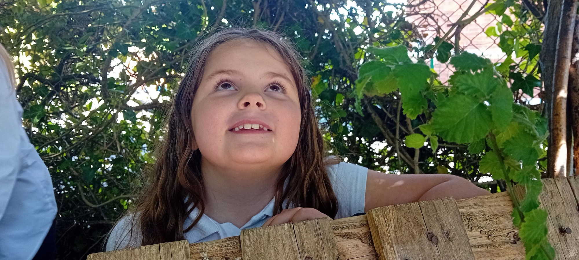 welcome image alt text